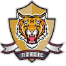 Tigres U19