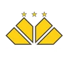 Criciuma SC Youth