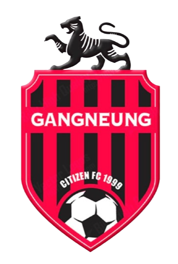 Logo Gangneung Citizen